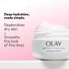 imageOlay Active Hydrating Cream Face Moisturizer 19 fl oz2 Ounce Pack of 1