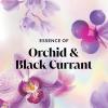 imageOlay Body Wash for Women Fresh Radiance Refreshing ampamp Renewing Made with Plant Based Cleansers B3 Botanical Complex For All Skin Types Orchid ampamp Black Currant Scent 22 fl oz Pack of 4Orchid  Black Currant