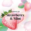 imageOlay Body Wash for Women Fresh Radiance Refreshing ampamp Renewing Made with Plant Based Cleansers B3 Botanical Complex For All Skin Types Strawberry ampamp Mint Scent 30 fl oz Pack of 24Cooling Strawberry and Mint
