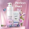 imageOlay Body Wash for Women Intensely Hydrating ProHyaluronic Acid Serum Complex Renews Moisture Vitamin B3 Lameller Technology For All Skin Types Strawberry Summer Fizz Scent 20 fl ozRaspberry  Bubbles