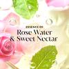 imageOlay Body Wash for Women Fresh Radiance 247 SkinLoving Freshness Visibly Radiant Plant Based Cleansers Vitamin B3 amp Antioxidant Blend For All Skin Types Strawberry amp Mint Scent 29 fl ozRose
